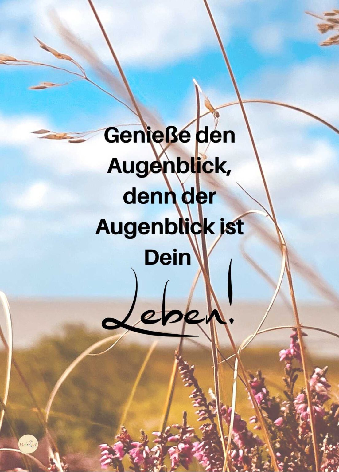 Adventsbox mit 24 Lebenspostkarten Wohlzeit Shop