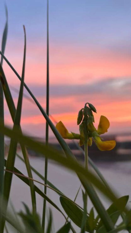 Sanfter Abendhimmel in Duhnen