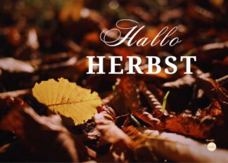 Der Herbst ist da – mit all seinen Farben, seiner Ruhe und dem Zauber des Wandels
