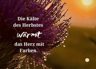 Die Kälte des Herbstes wärmt das Herz mit Farben