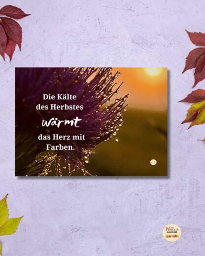 Die Kälte des Herbstes wärmt das Herz mit Farben