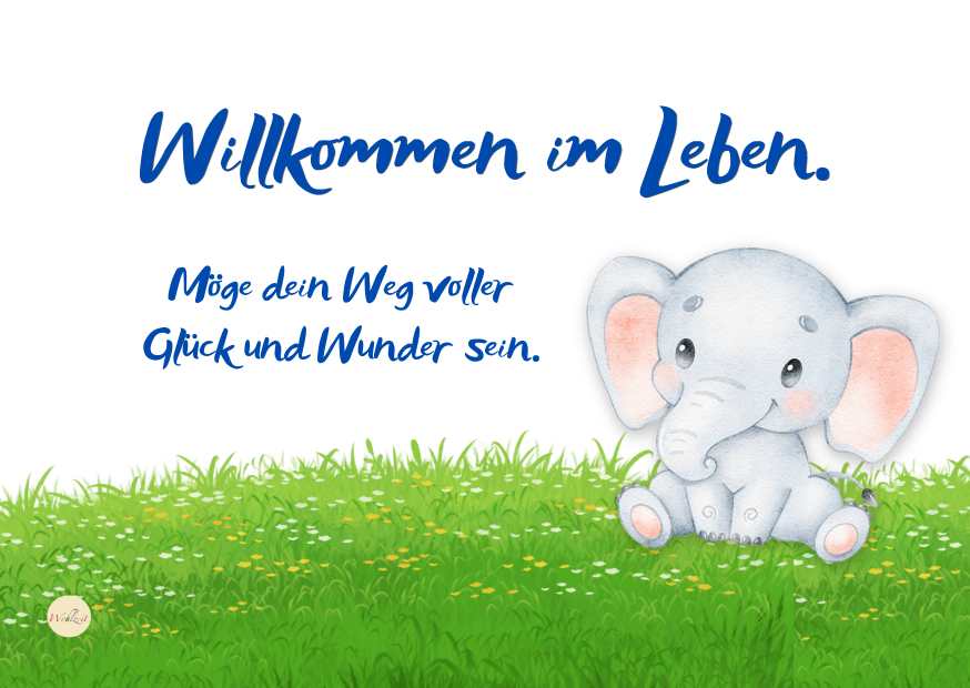 Ein liebevolles Motiv, das von Anfang an daran erinnert: Das Leben steckt voller kleiner Wunder