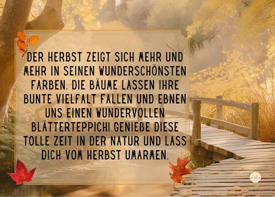 Postkartenbeispiel - Lebenspostkarten