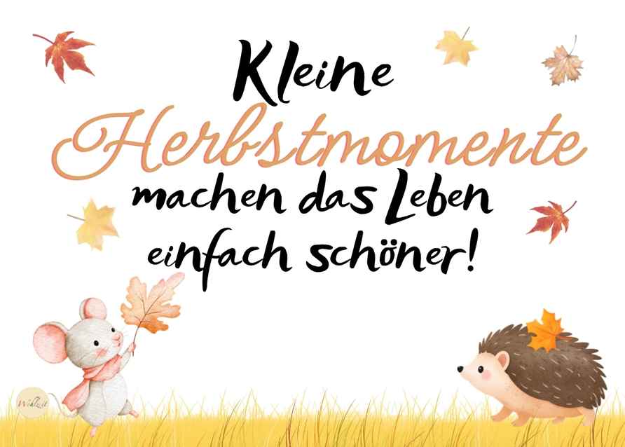 Kleine Herbstmomente machen das Leben einfach schöner! – Digitale Postkarte | Sofort-Download – Bild 5